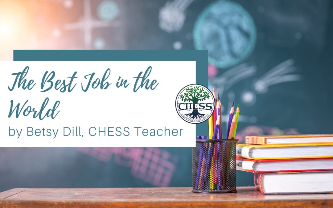 The Best Job in the World by Betsy Dill