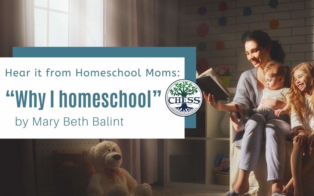 Hear it from Homeschool Moms: “Why I homeschool.” – Mary Beth Balint