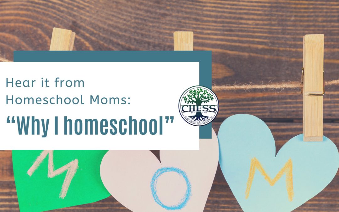 Hear it from Homeschool Moms: “Why I Homeschool”