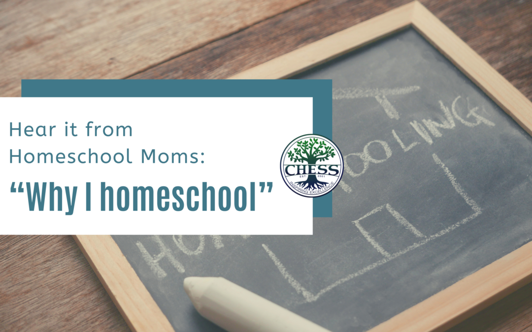 Hear it from Homeschool Moms: “Why I Homeschool”