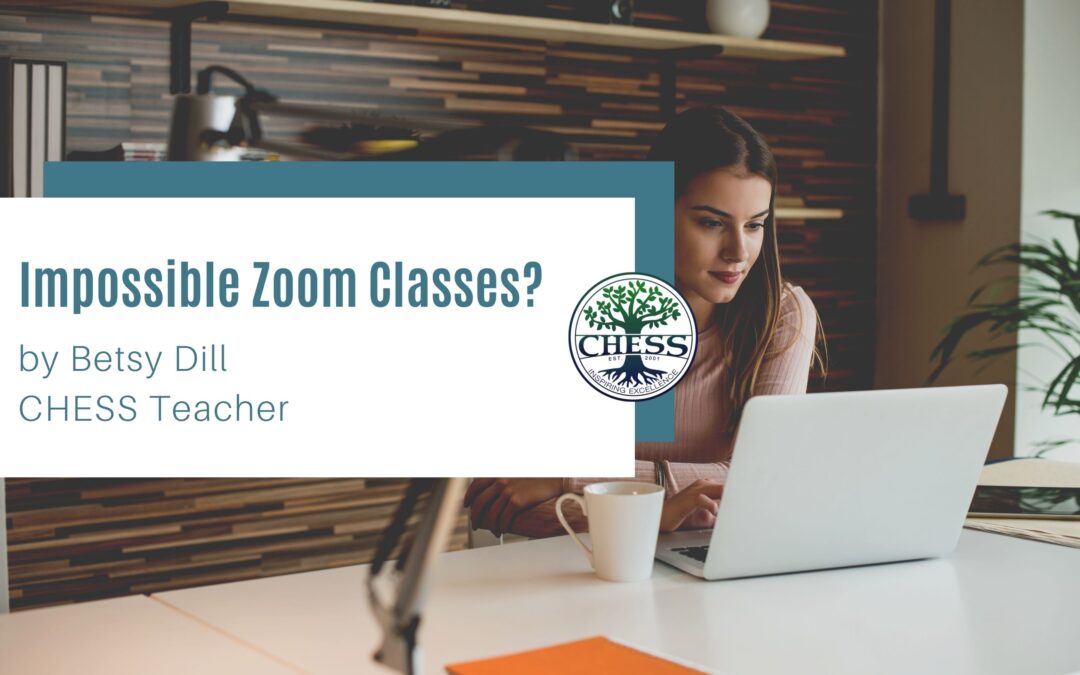 Impossible Zoom Classes? – By Betsy Dill