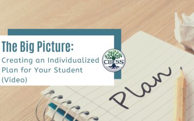 The Big Picture: Creating an Individualized Plan for Your Student