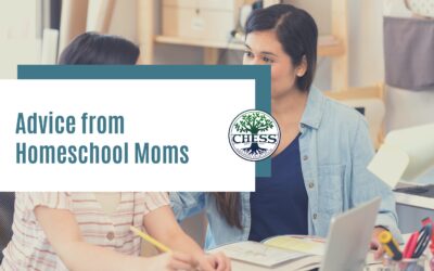 Advice from Homeschool Moms 